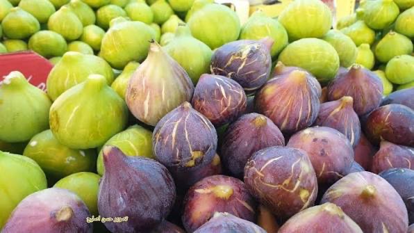 عرض التين الأخضر الفاخر